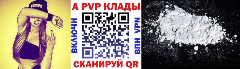 закладки  shop формула  А ПВП СК КРИС  Холм 