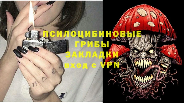 индика Покров