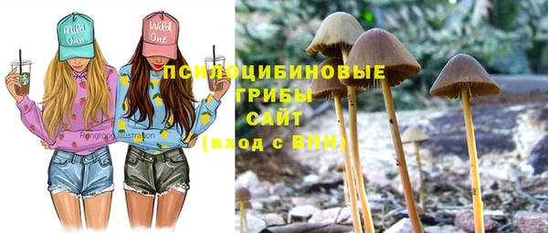 2c-b Пролетарск