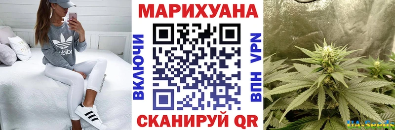 Каннабис VHQ Холм